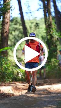 BIB:  <button type="button" onclick="openModal(26787817)" class="btn btn-primary btn-sm float-right" data-toggle="modal" data-target=".modal-high-quality">
                <i class="fa fa-download"></i> Download
                </button>